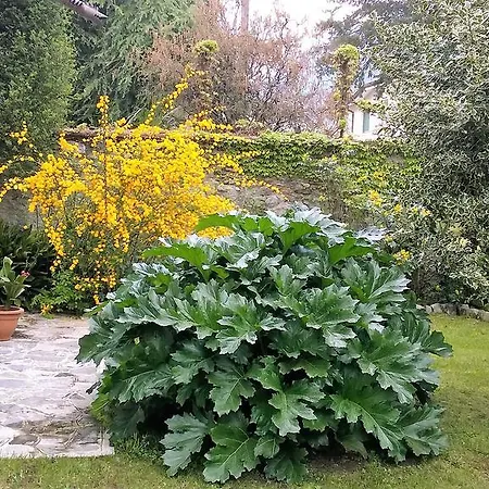Villa La Casa Di Bice Dervio