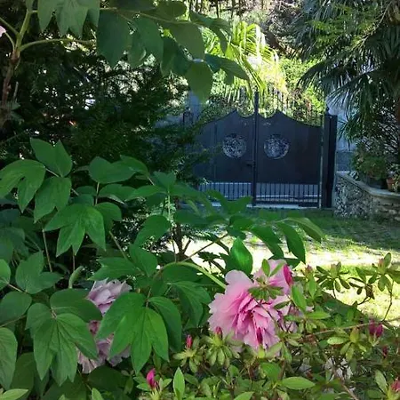La Casa Di Bice * Dervio