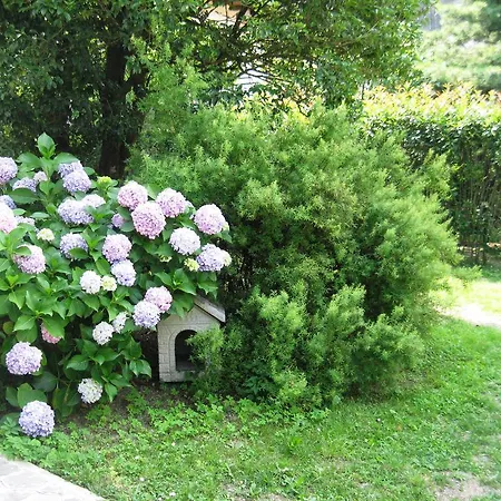 La Casa Di Bice וילה דרביו