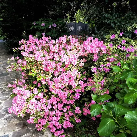 La Casa Di Bice וילה דרביו